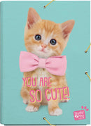 elasto-/foldermap Dog Lovely Puppies A4 lichtblauw