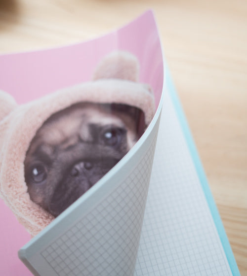 schrijfblok geruit meisjes 5 mm A4 papier roze