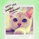 memoblok tekstballon 6,5 x 5,9 cm papier wit