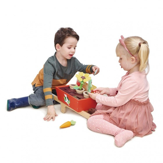 kruiwagen met tuinset junior 31-delig