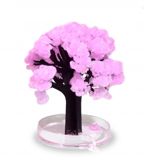 boom Magic Sakura 13,5 cm bruin/roze