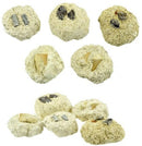 fossiel lichtbruin 4 cm