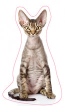 kussen junior 40 cm polyester bruin