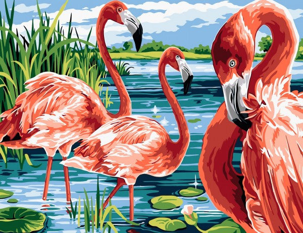 schilderen op nummer Flamingo 50 x 40 cm canvas/acryl