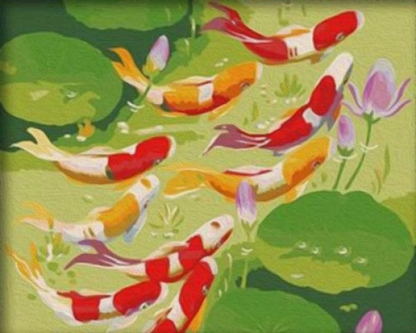 schilderen op nummer Koi 50 x 40 cm canvas/acryl