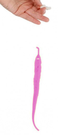 magische worm junior 20 cm pluche roze