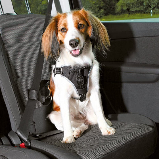 Zzztrixie Hondentuig Auto Dog Protect Zwart 40-55X2 CM