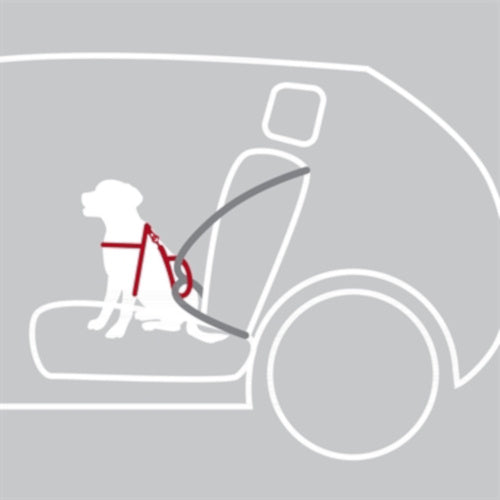 Zzztrixie Hondentuig Auto Dog Protect Zwart 40-55X2 CM
