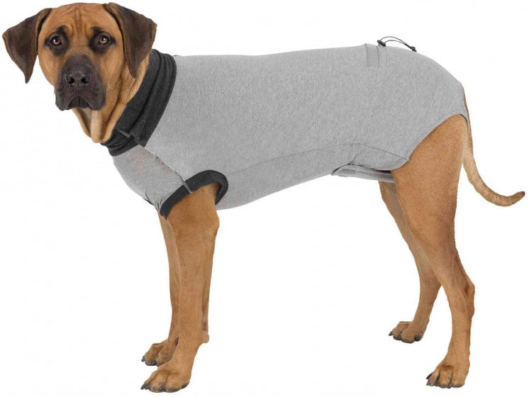 Trixie Shirt Voor Na Operatie Grijs XS-S 30 CM