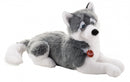 Knuffel hond Huskey 60 cm grijs/wit