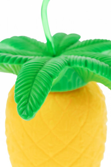 Ananas Beker met Rietje