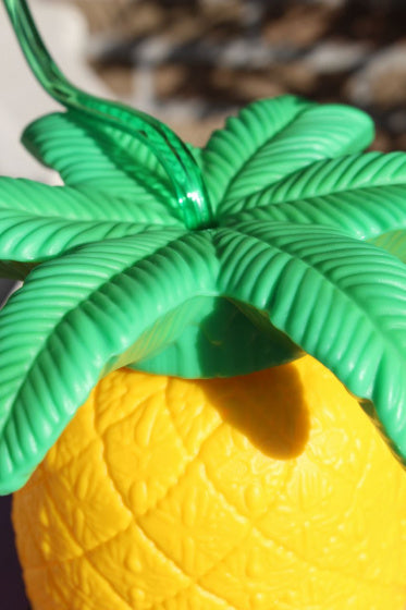 Ananas Beker met Rietje