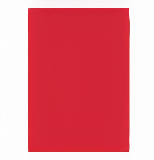 Papier A4 160gr 25 vel rood