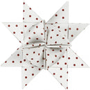 papieren vlechtstroken 44/78 cm rood/wit 60 stuks