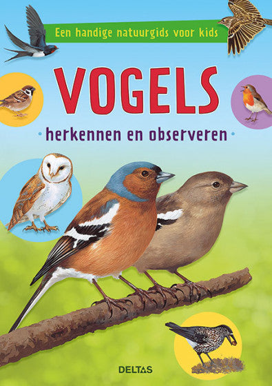 vogels herkennen en observeren