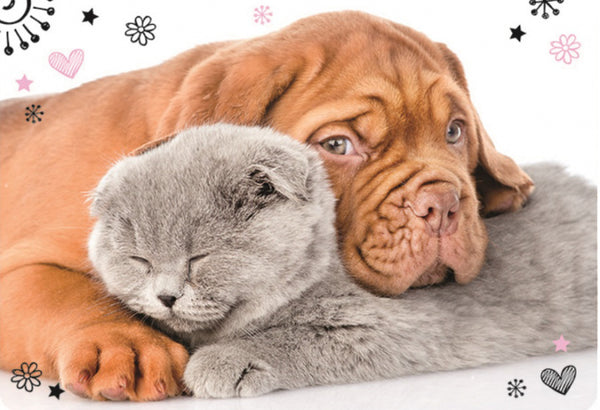 placemat Hond & Kat  junior 65 x 45 cm wit/bruin/geel