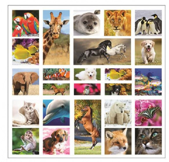 stickervel 3D Dieren 20 x 19,5 cm papier 25 stuks