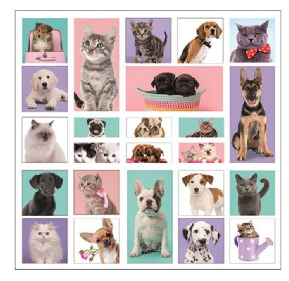 stickervel 3D Hond en Kat 20 x 19 cm papier 25 stuks