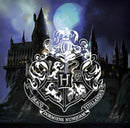 kussen Harry Potter 40 x 40 cm polyester blauw