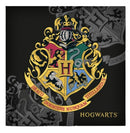 kussen Harry Potter 40 x 40 cm polyester zwart