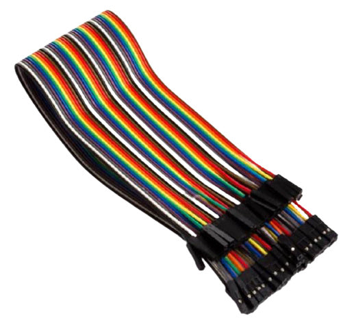 40-polige draadbrug 30 cm PVC/koper vrouw/vrouw