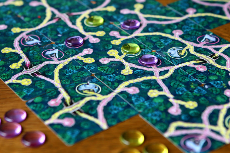 gezelschapsspel Fairy Trails 