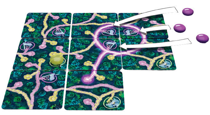 gezelschapsspel Fairy Trails 