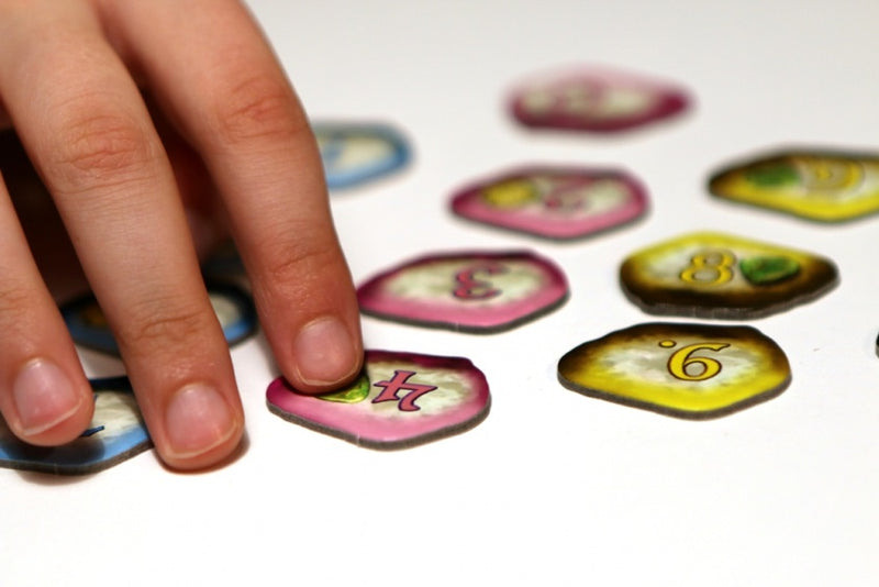 reisspel Keltis Fun & Go