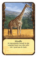 uitbreiding Jambo: nieuwe avonturen en ontmoetingen