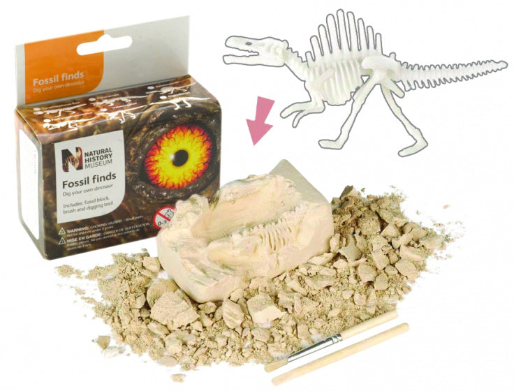 fossielen ontdekset stegosaurus junior 3-delig