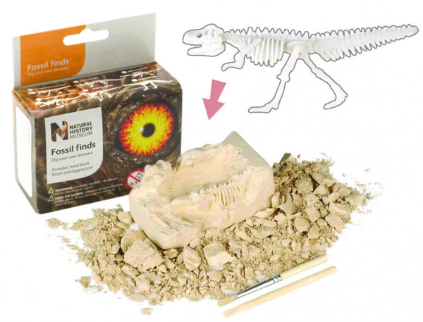 fossielen-ontdekset T-Rex junior bruin