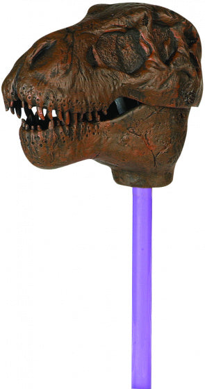 grijper dinosaurus skelet junior 46 cm bruin