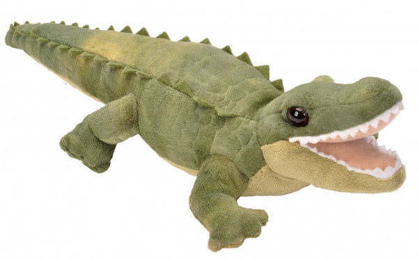 knuffel krokodil junior 20 cm pluche groen