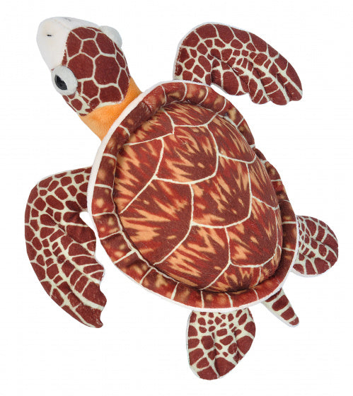 knuffel schildpad junior 20 cm pluche bruin
