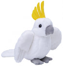 knuffel kaketoe junior 13 cm pluche wit