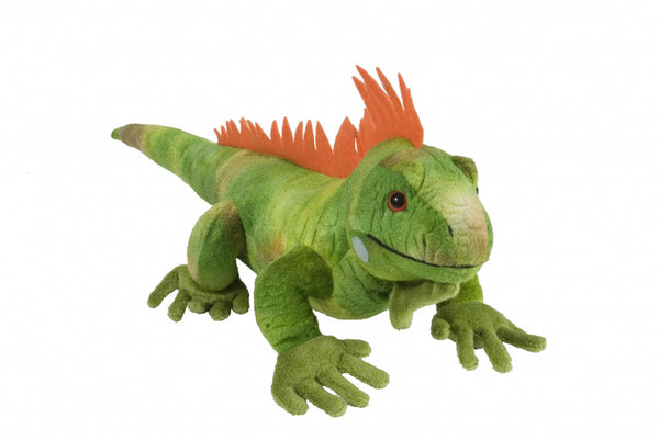 knuffel leguaan junior 30 cm pluche groen