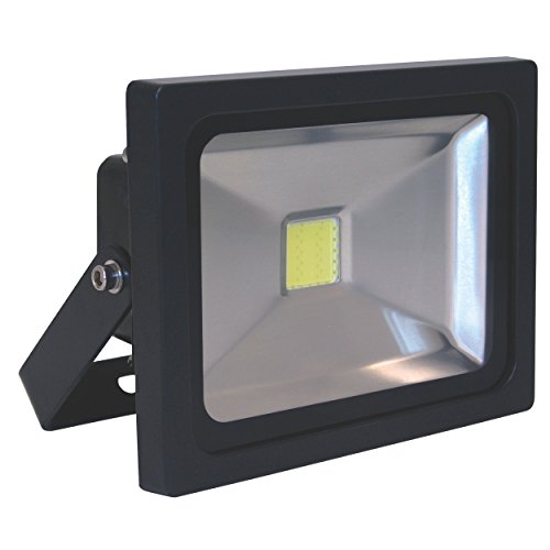 XQ-Lite LED straler 20W